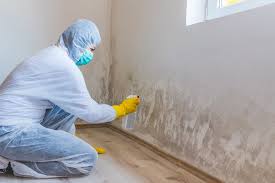 Trusted Pine Ridge, SC Mold Inspection Experts